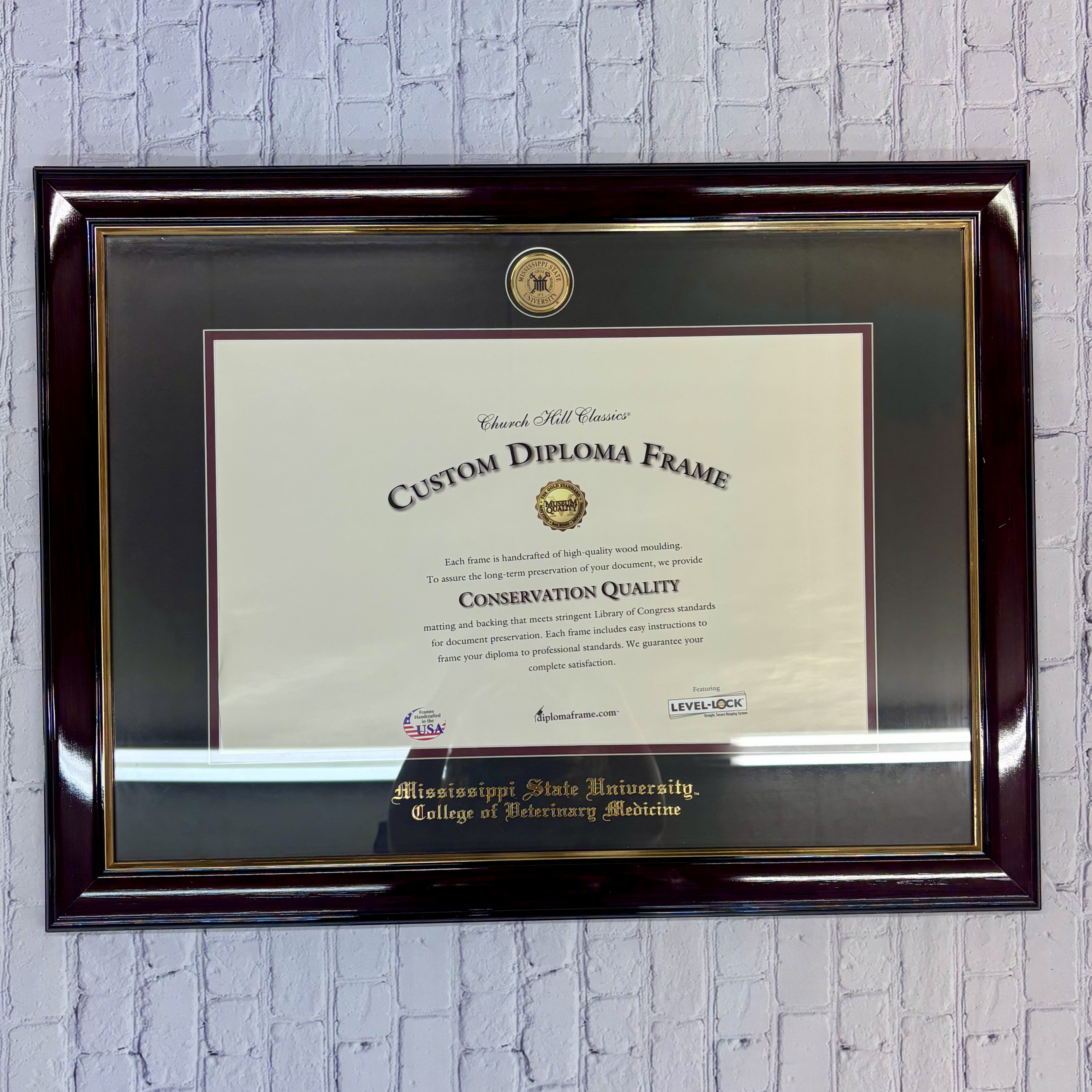 Church Hill Classics Diploma Frame Veterinary Cherry Gold Medallion Black Mat