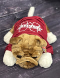Toy Bulldog Lying Down With Maroon T-Shirt
