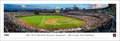 Print Panoramic 2021 College World Series Champs