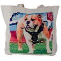 The Little Birdie/Varsity Pro, Inc. Travel Tote Bulldog Stndng Wtrclr Full Body Harness