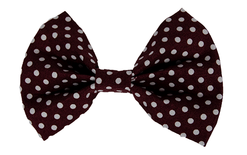 Dog Collar World Dog Collar Accessory Bow Tie Maroon Polka Dot