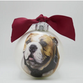 Ornament Bulldog Painted Live Bulldog Loyal Friends M-State