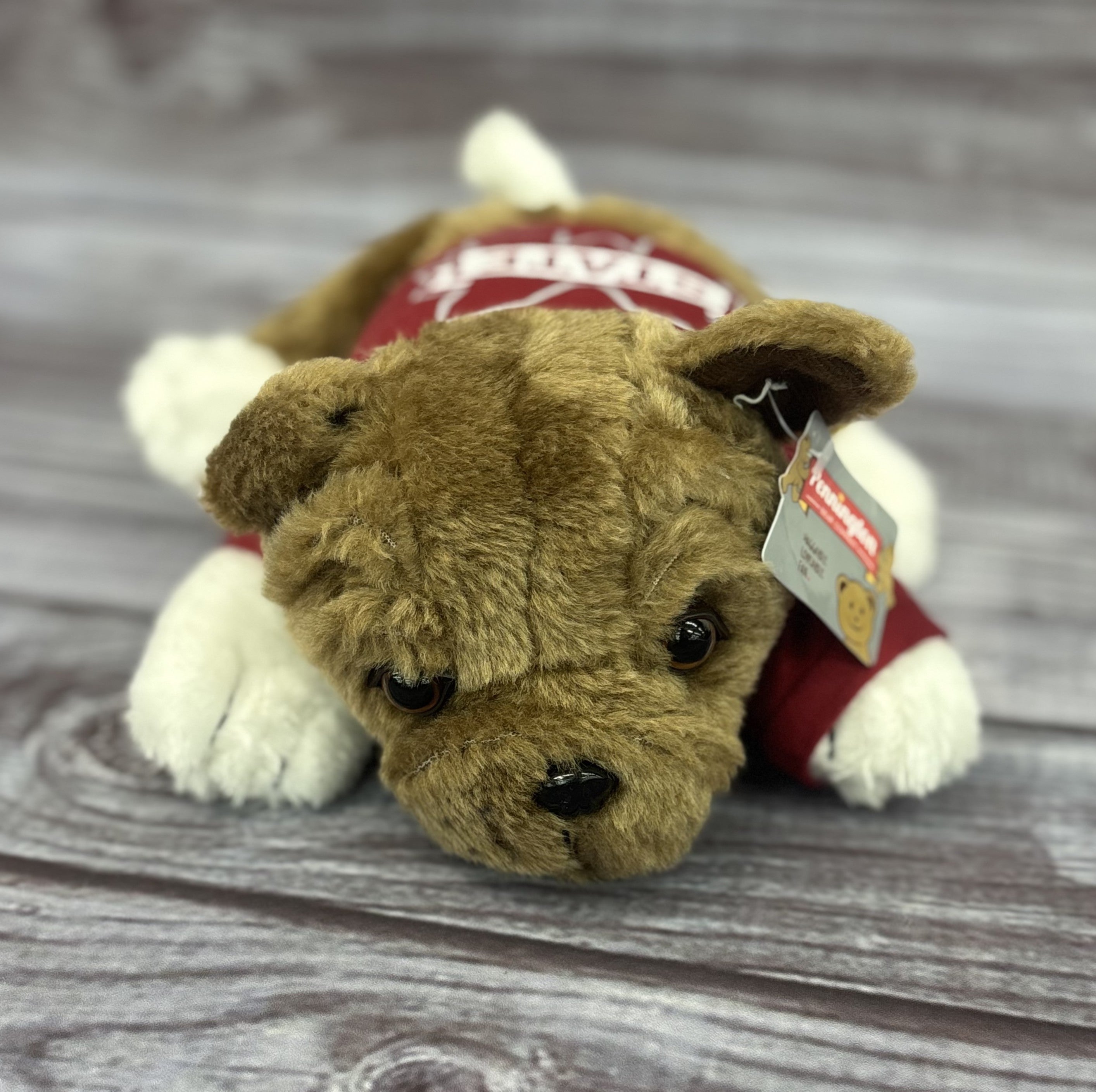 Toy Dog 10" Floppy with T-Shirt M-State