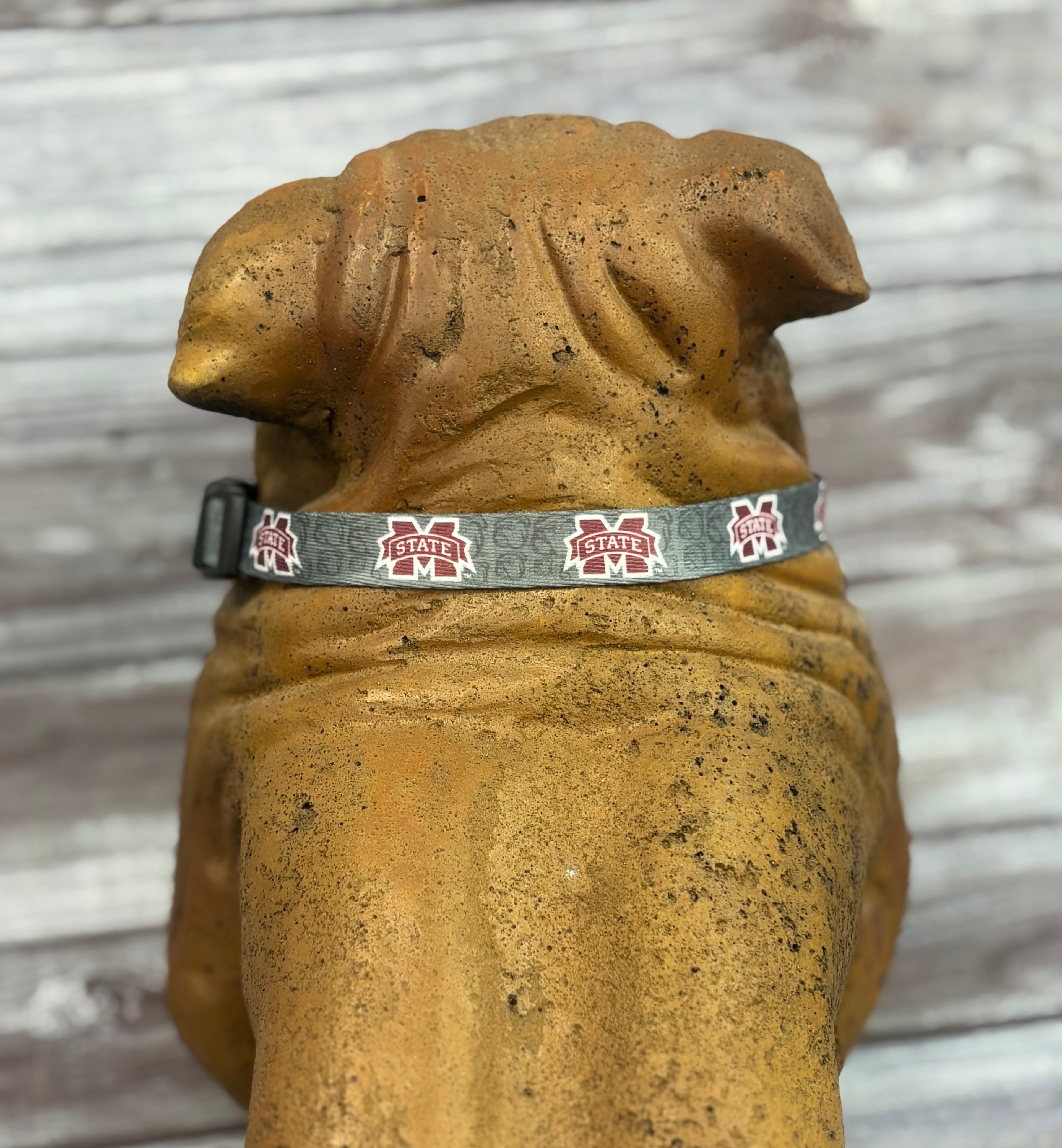 In Dog We Trust Dog Collar M-State