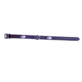 Dog Collar M-State Conchos