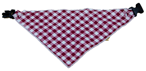 Dog Scarf Maroon Gingham