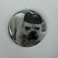 Cute As A Button Button Mississippi Ag Bully