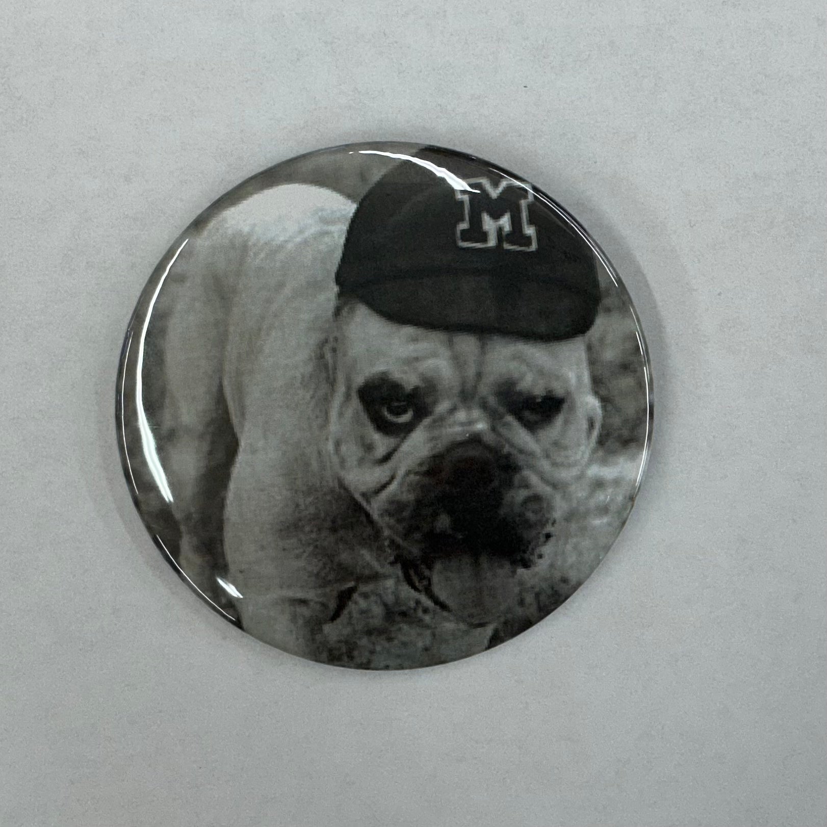 Cute As A Button Button Mississippi Ag Bully