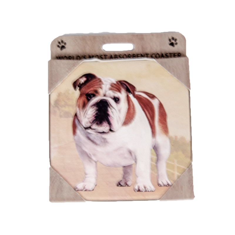 E&S Imports Inc./Petasaurus Home Coaster Square Real Bulldog Stndg