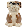 Kalalou Home Cookie Jar Bulldog Shape