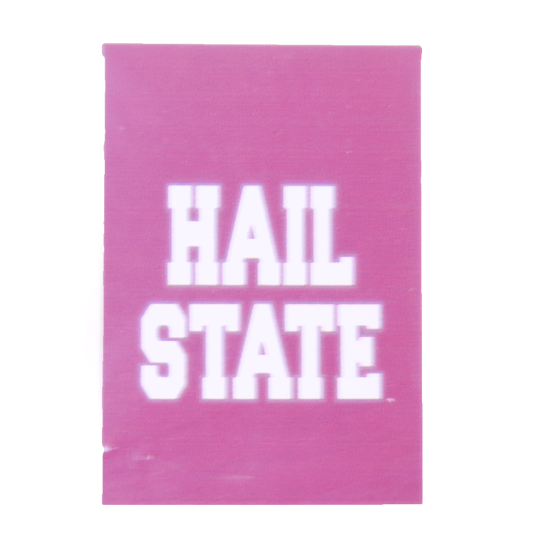 Jaymac Sports Products Home Flag Hail State 28X40 Dbl Sd