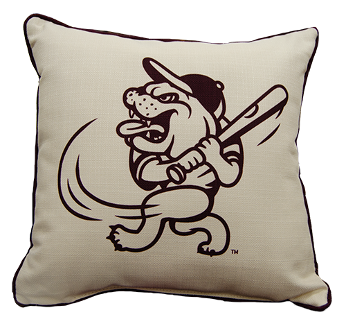 Pillow Little Birdie Swinging Bully With Piping