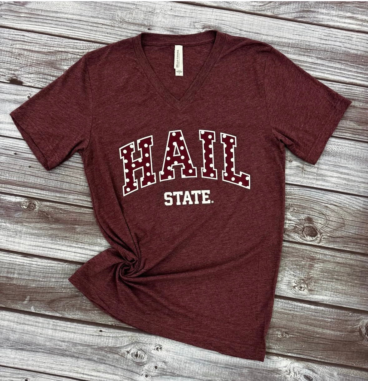 T-Shirt Short Sleeve V-Neck Hail State