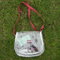 Purse Clear Crossbody Saddle Silver Trim M-State