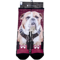 Strideline, L Sock Full Sub Bulldog Picture All Over M-State