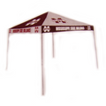 Tailgate Tent 2 Color Checkboard M-State