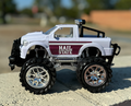Toy Truck Monster Hail State