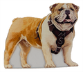 Valiant Gifts Wholesale Xmas Orn Bulldog Realistic